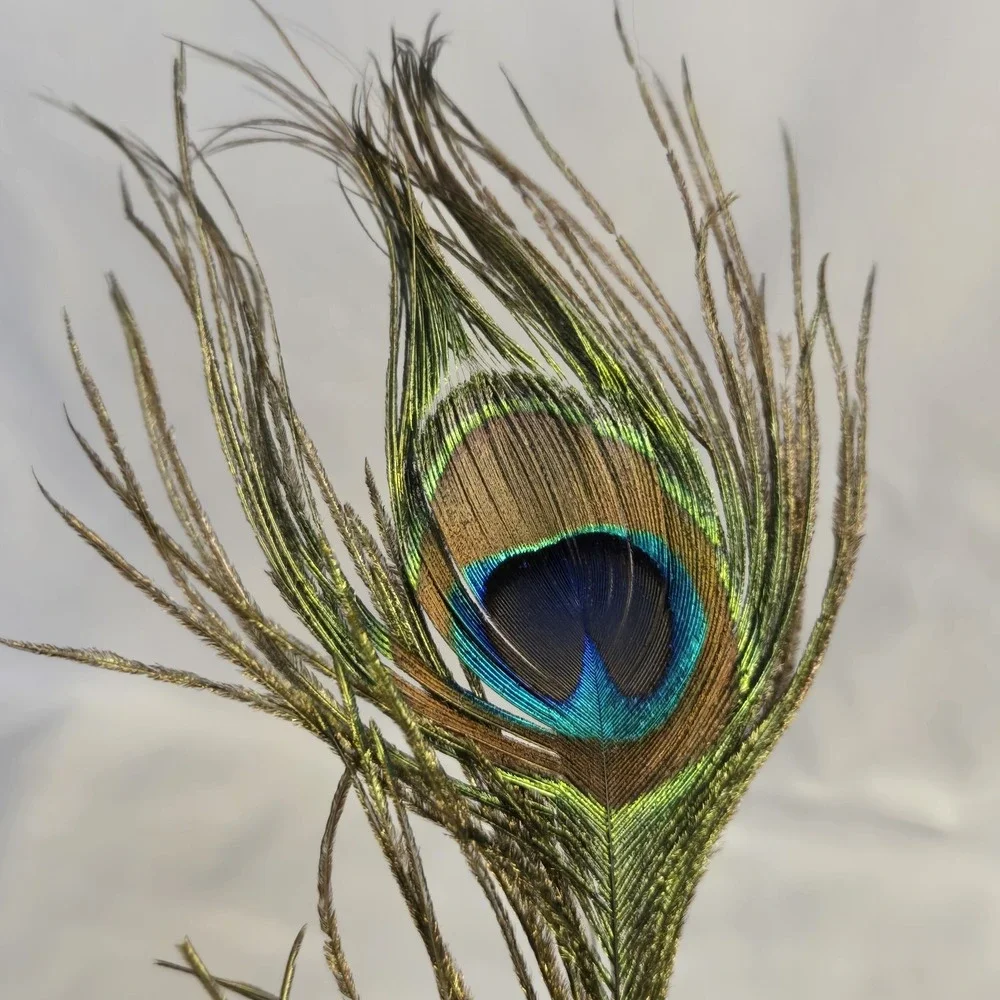 Glass Peacock Clip On Christmas Ornament Real Feather Tail Blue Green Glitter
